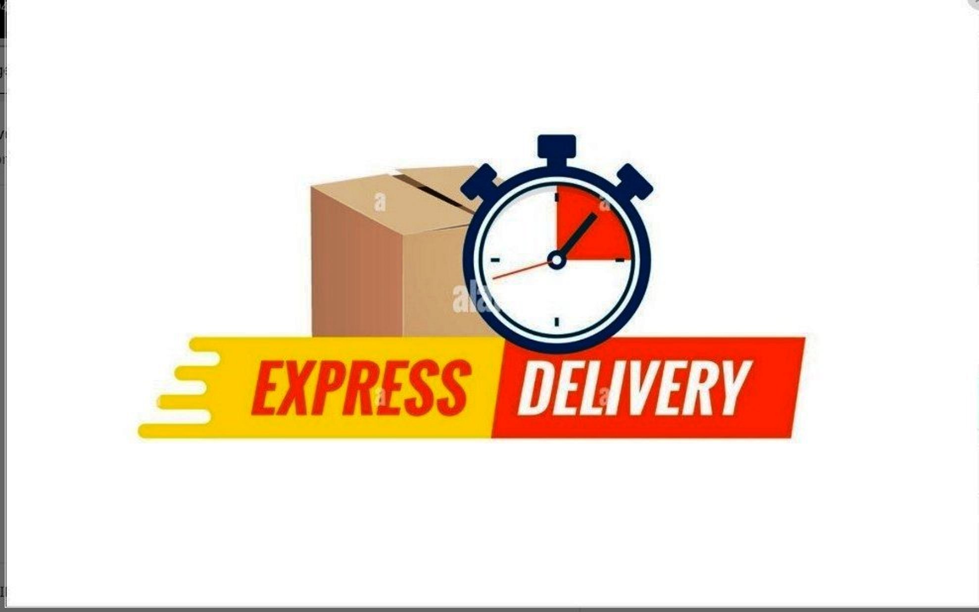 Express Delivery Services ⚡📬