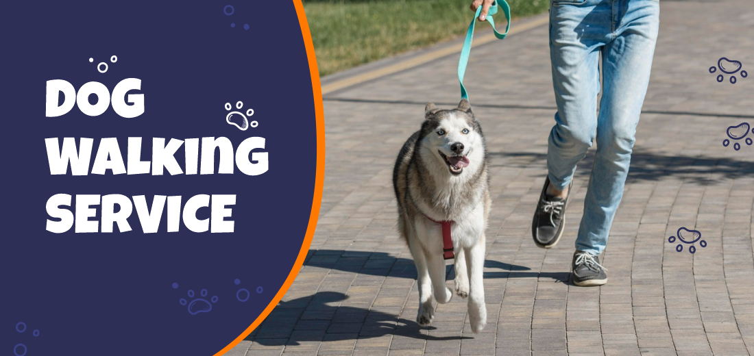 Dog Walking Services 🚶‍♂️🐕