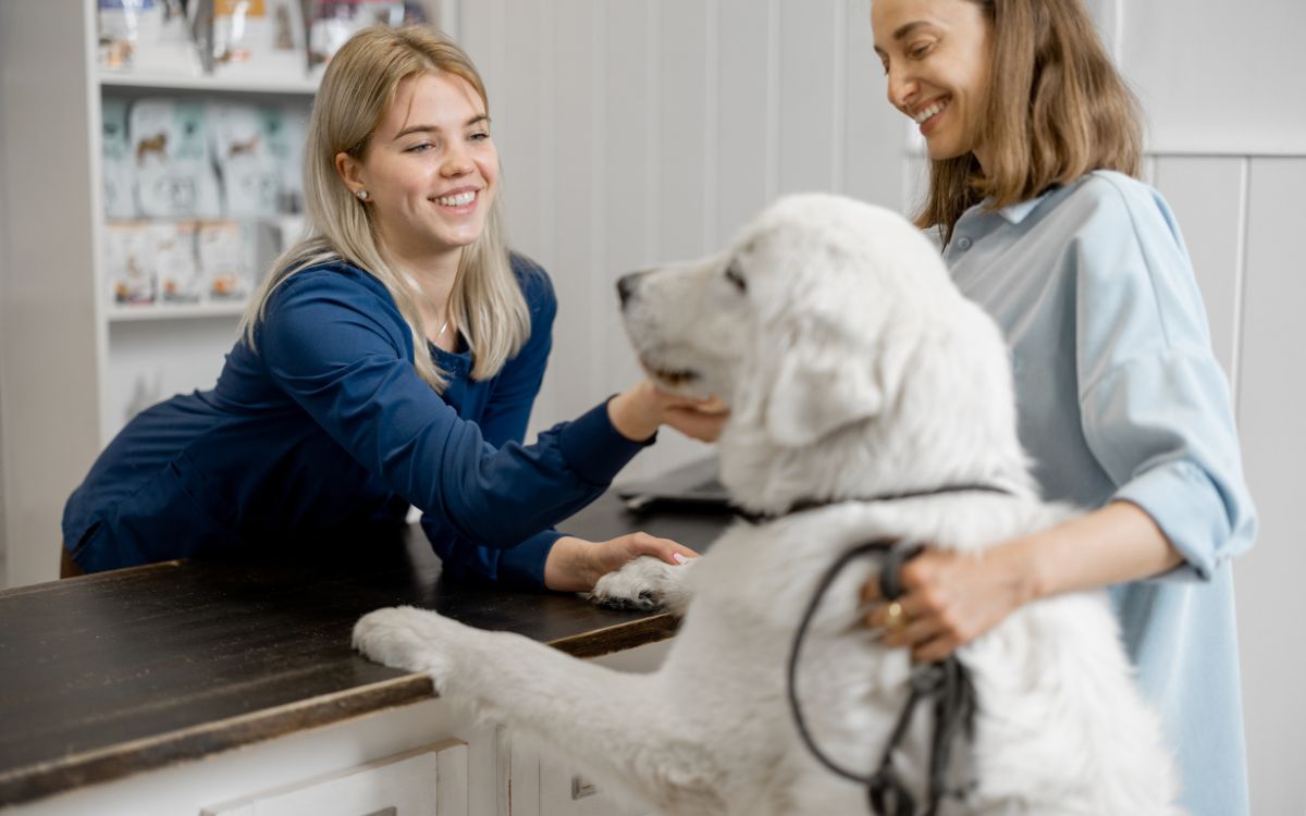 Veterinary Care 🩺