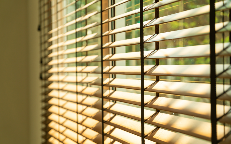 Chick Blinds