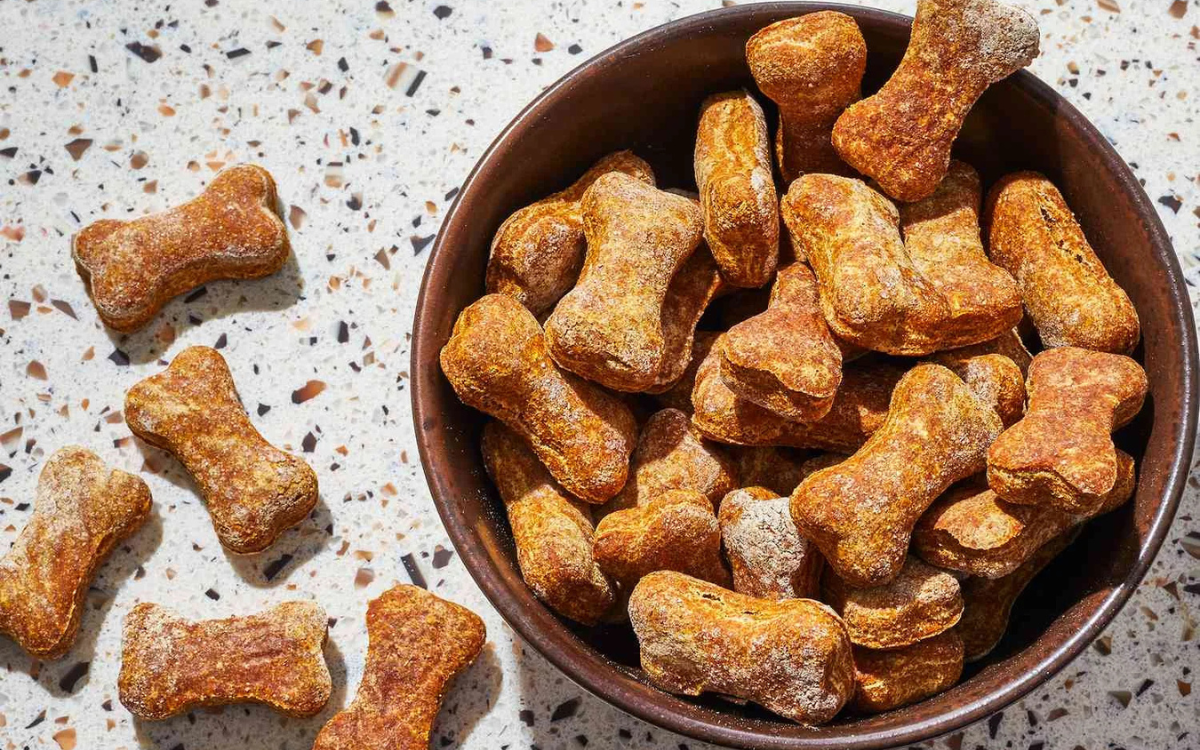 Dog Food & Treats